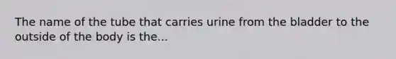 The name of the tube that carries urine from the bladder to the outside of the body is the...