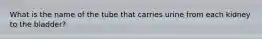 What is the name of the tube that carries urine from each kidney to the​ bladder?
