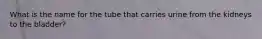 What is the name for the tube that carries urine from the kidneys to the bladder?