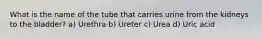 What is the name of the tube that carries urine from the kidneys to the bladder? a) Urethra b) Ureter c) Urea d) Uric acid