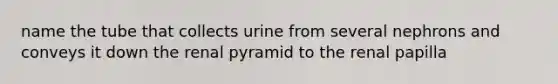 name the tube that collects urine from several nephrons and conveys it down the renal pyramid to the renal papilla