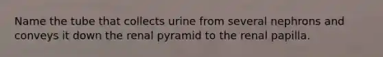 Name the tube that collects urine from several nephrons and conveys it down the renal pyramid to the renal papilla.