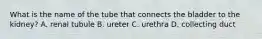 What is the name of the tube that connects the bladder to the kidney? A. renal tubule B. ureter C. urethra D. collecting duct