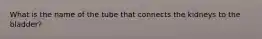 What is the name of the tube that connects the kidneys to the bladder?