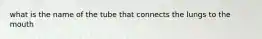 what is the name of the tube that connects the lungs to the mouth