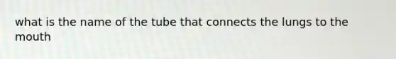 what is the name of the tube that connects the lungs to the mouth