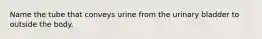 Name the tube that conveys urine from the urinary bladder to outside the body.