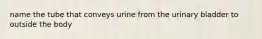 name the tube that conveys urine from the urinary bladder to outside the body