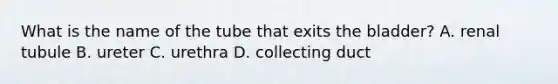 What is the name of the tube that exits the bladder? A. renal tubule B. ureter C. urethra D. collecting duct