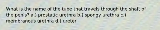 What is the name of the tube that travels through the shaft of the penis? a.) prostatic urethra b.) spongy urethra c.) membranous urethra d.) ureter