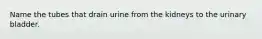 Name the tubes that drain urine from the kidneys to the urinary bladder.