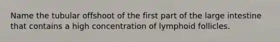 Name the tubular offshoot of the first part of the <a href='https://www.questionai.com/knowledge/kGQjby07OK-large-intestine' class='anchor-knowledge'>large intestine</a> that contains a high concentration of lymphoid follicles.