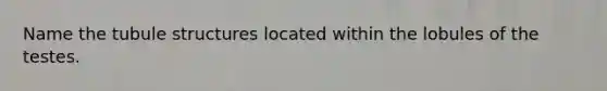 Name the tubule structures located within the lobules of the testes.