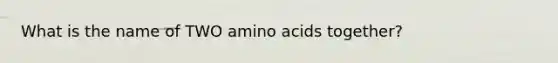 What is the name of TWO amino acids together?