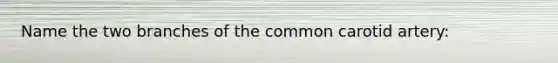 Name the two branches of the common carotid artery:
