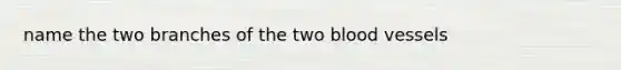 name the two branches of the two blood vessels