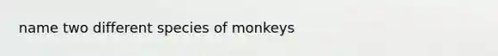 name two different species of monkeys