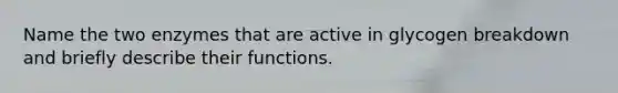 Name the two enzymes that are active in glycogen breakdown and briefly describe their functions.