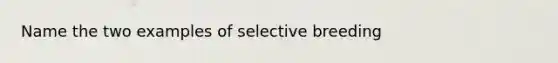 Name the two examples of selective breeding