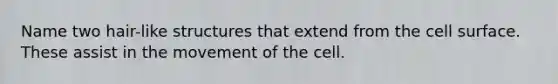 Name two hair-like structures that extend from the cell surface. These assist in the movement of the cell.