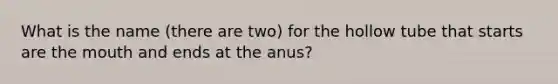 What is the name (there are two) for the hollow tube that starts are the mouth and ends at the anus?