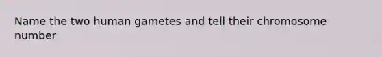 Name the two human gametes and tell their chromosome number