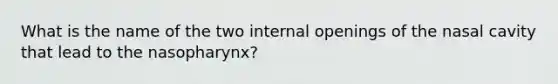 What is the name of the two internal openings of the nasal cavity that lead to the nasopharynx?