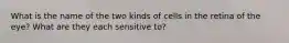 What is the name of the two kinds of cells in the retina of the eye? What are they each sensitive to?