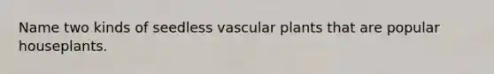 Name two kinds of seedless vascular plants that are popular houseplants.