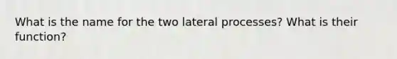 What is the name for the two lateral processes? What is their function?