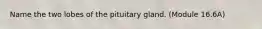 Name the two lobes of the pituitary gland. (Module 16.6A)