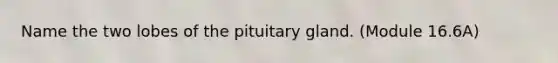 Name the two lobes of the pituitary gland. (Module 16.6A)