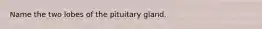 Name the two lobes of the pituitary gland.