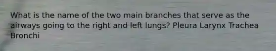 What is the name of the two main branches that serve as the airways going to the right and left lungs? Pleura Larynx Trachea Bronchi