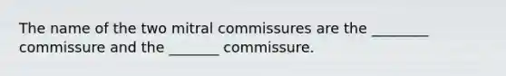 The name of the two mitral commissures are the ________ commissure and the _______ commissure.