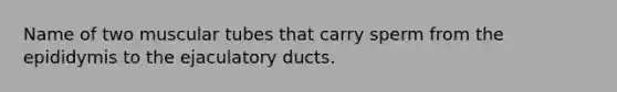 Name of two muscular tubes that carry sperm from the epididymis to the ejaculatory ducts.