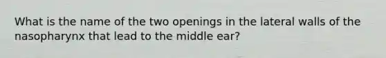 What is the name of the two openings in the lateral walls of the nasopharynx that lead to the middle ear?