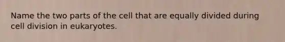 Name the two parts of the cell that are equally divided during cell division in eukaryotes.