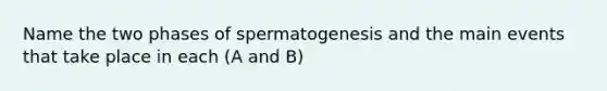 Name the two phases of spermatogenesis and the main events that take place in each (A and B)