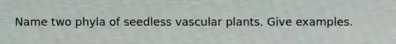 Name two phyla of seedless vascular plants. Give examples.