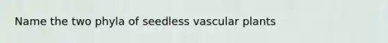 Name the two phyla of seedless vascular plants