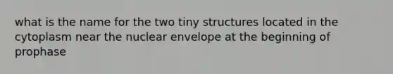 what is the name for the two tiny structures located in the cytoplasm near the nuclear envelope at the beginning of prophase