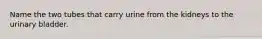 Name the two tubes that carry urine from the kidneys to the urinary bladder.