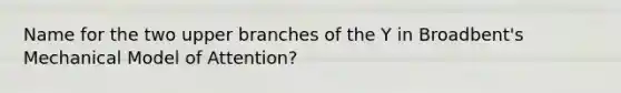 Name for the two upper branches of the Y in Broadbent's Mechanical Model of Attention?