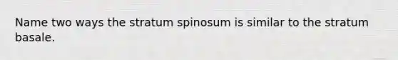 Name two ways the stratum spinosum is similar to the stratum basale.