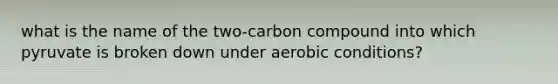 what is the name of the two-carbon compound into which pyruvate is broken down under aerobic conditions?