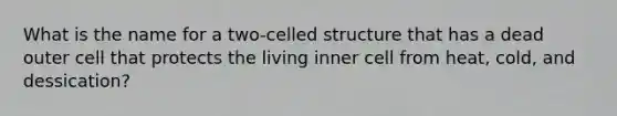 What is the name for a two-celled structure that has a dead outer cell that protects the living inner cell from heat, cold, and dessication?