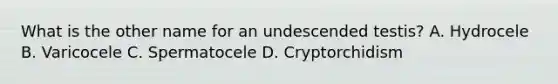 What is the other name for an undescended testis? A. Hydrocele B. Varicocele C. Spermatocele D. Cryptorchidism