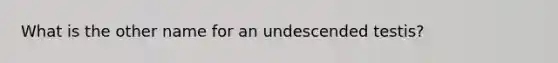 What is the other name for an undescended testis?