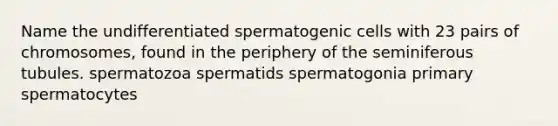 Name the undifferentiated spermatogenic cells with 23 pairs of chromosomes, found in the periphery of the seminiferous tubules. spermatozoa spermatids spermatogonia primary spermatocytes